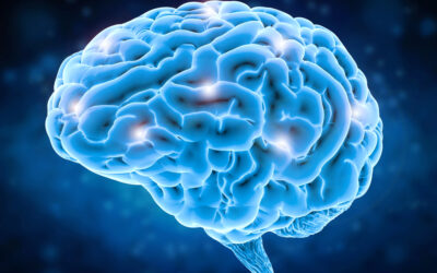 Ask Our Naperville Dentist: What’s the Link Between Oral and Brain Health?